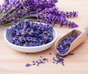 Lavendel